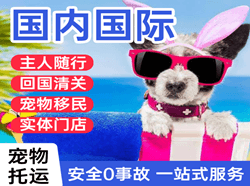 运城空运地址国际宠物托运 【国
